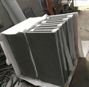 G654 Swimming Pool Coping